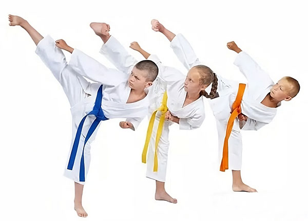 Grofik Martial Arts Studio Children Students